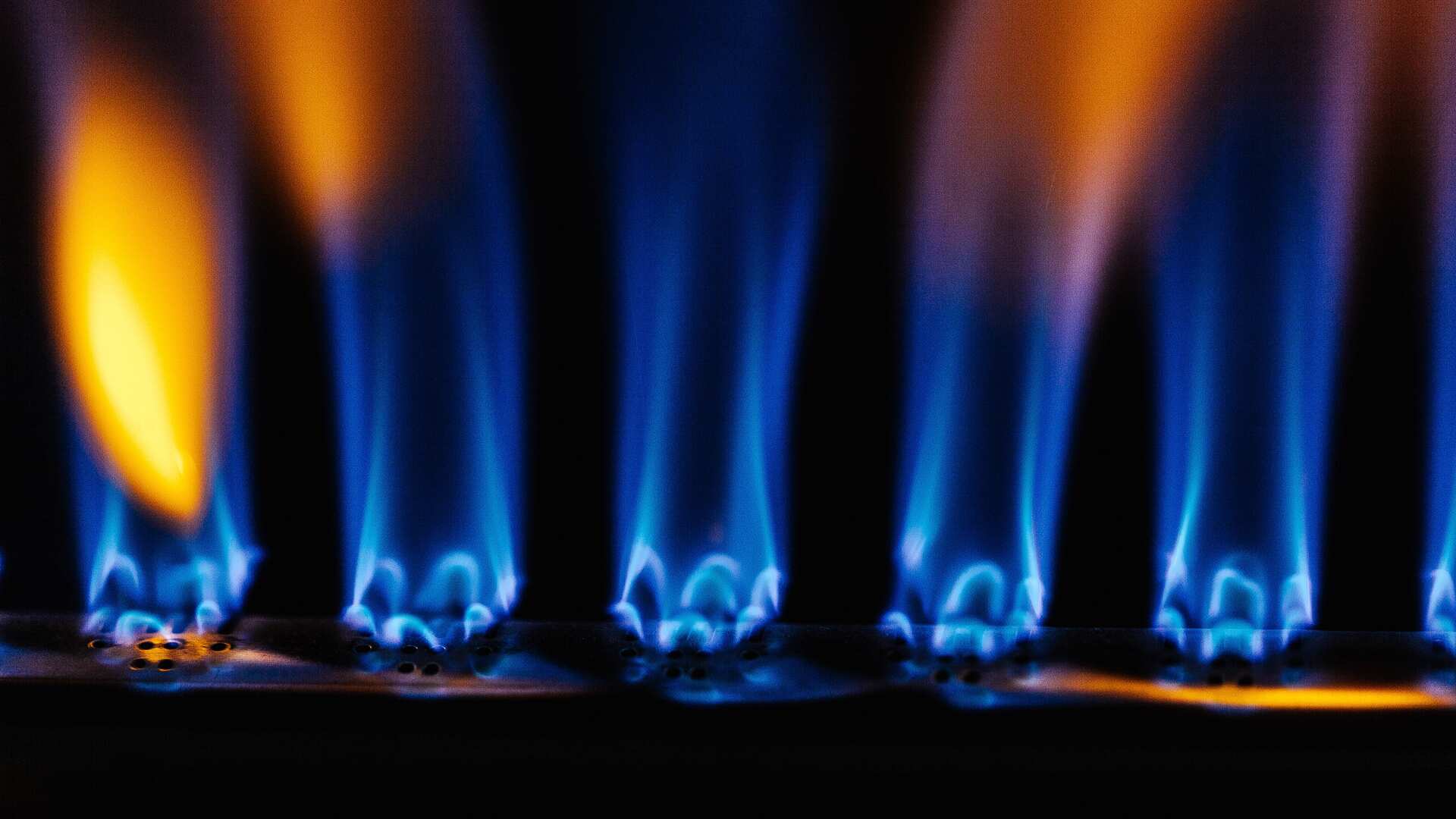 Mejores calentadores de gas 2022 